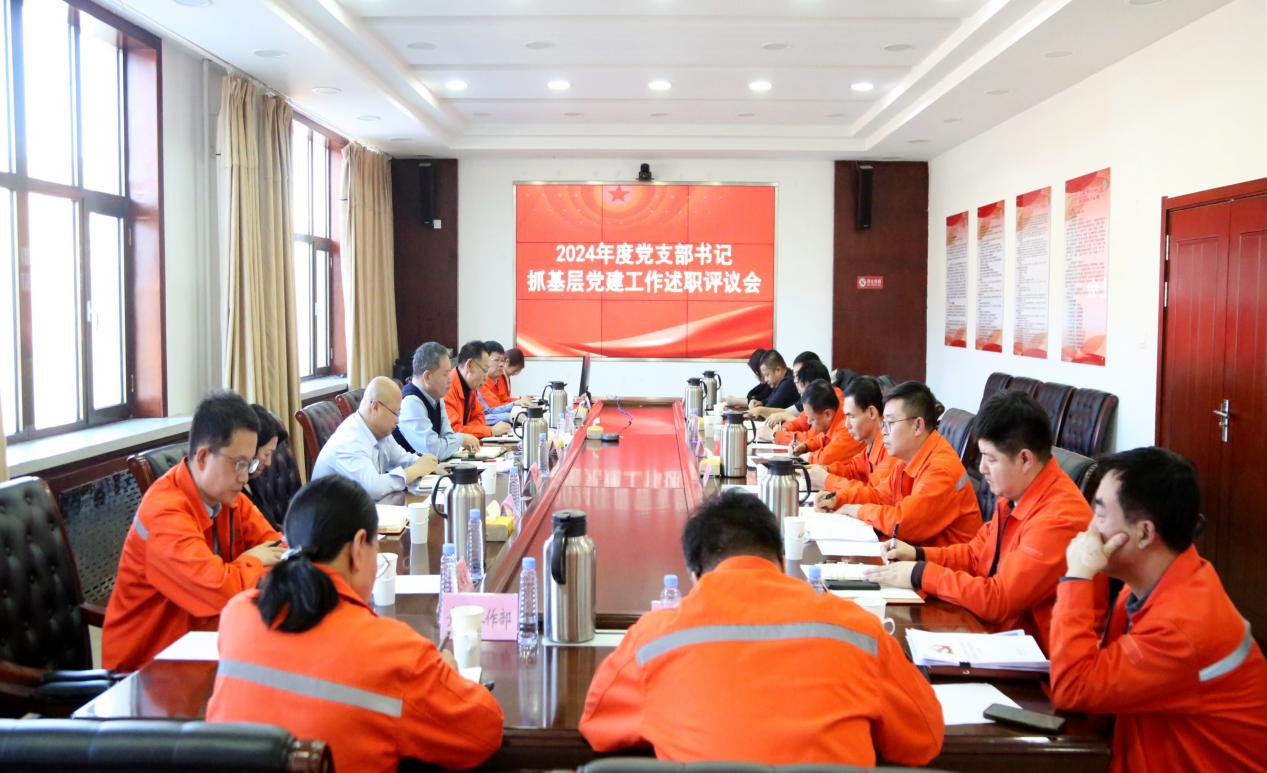 公司召开2024年度党支部书记抓基层党建述职评议会